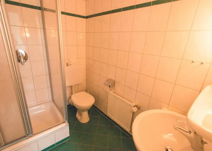 Rheinhotel Starkenburger Hof 酒店